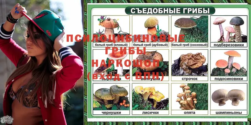 Псилоцибиновые грибы MAGIC MUSHROOMS  Калтан 